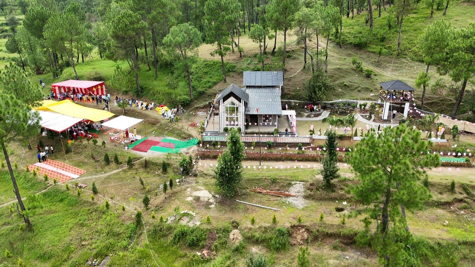 Amoda Sari - Almora