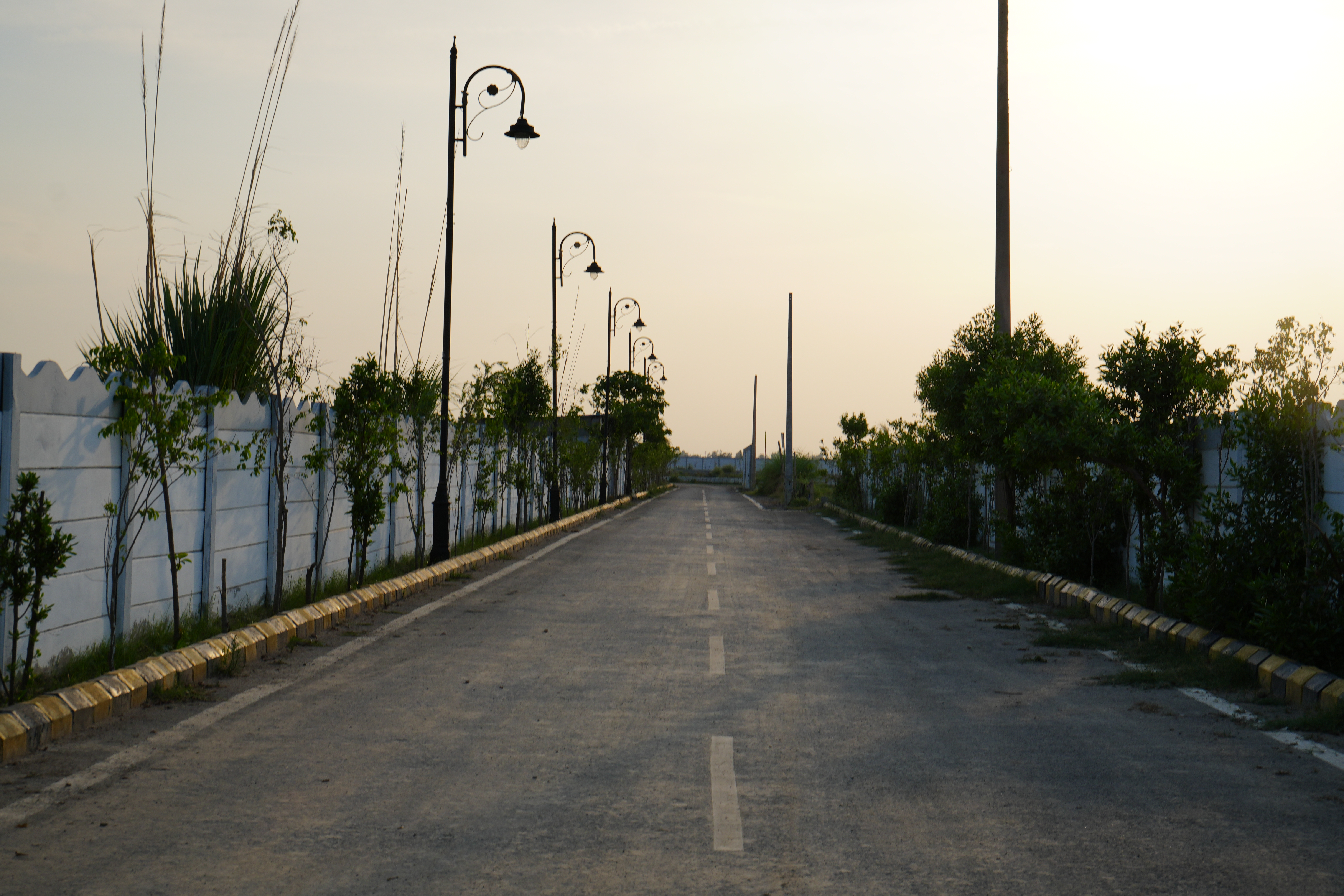 Gokul - Solra, Haryana